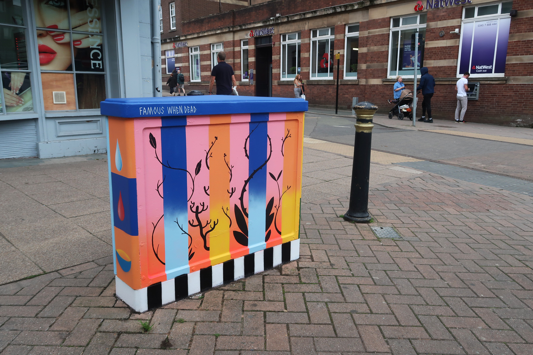 Artists help adorn Newcastle’s streets
